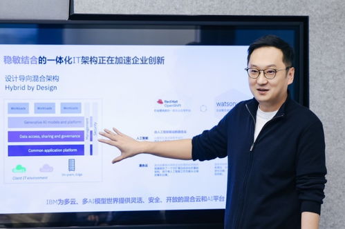 技术咨询双轮驱动 IBM为中国企业打造AI出海新底座